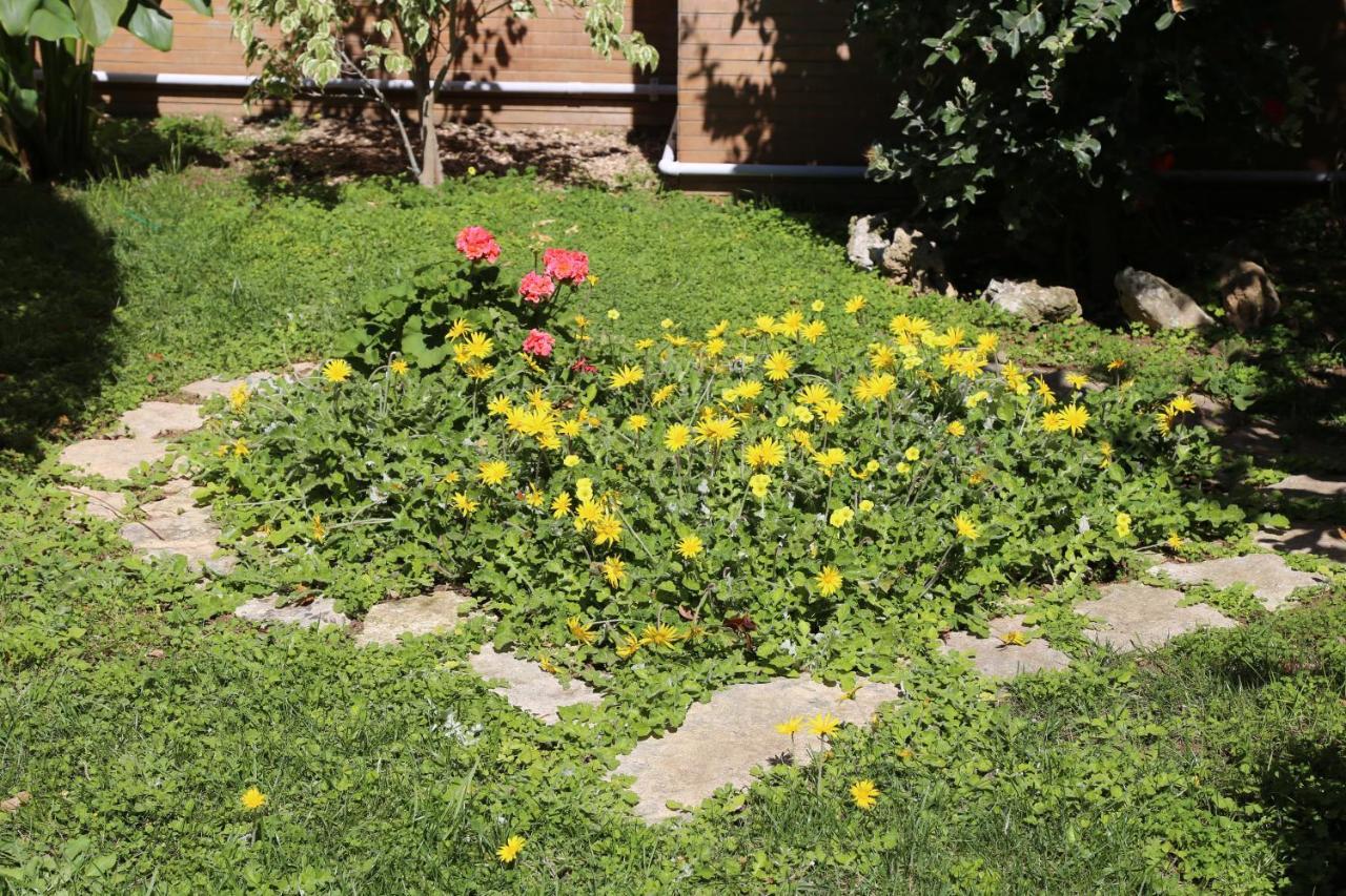 Bed and Breakfast Virò House Squinzano Esterno foto